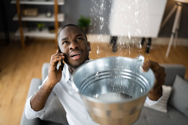 Best Mold removal after water damage  in Dublin, PA