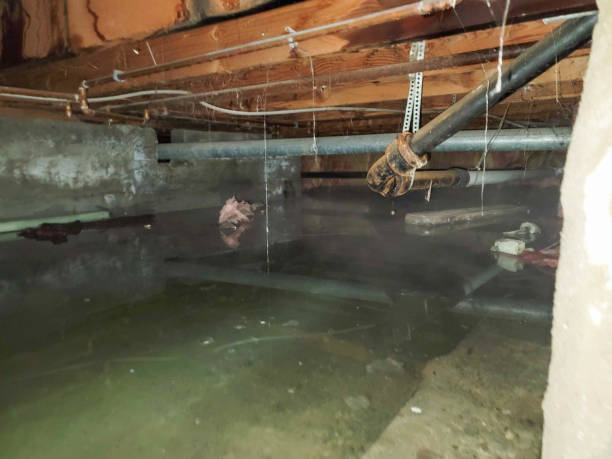  Dublin, PA Water damage restoration Pros