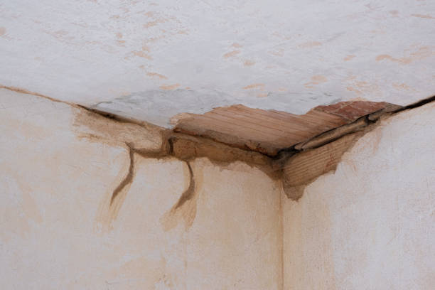 Best Local water damage restoration  in Dublin, PA