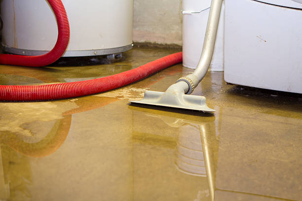 Best Water damage contractors near me  in Dublin, PA