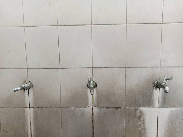 Best Water damage restoration near me  in Dublin, PA