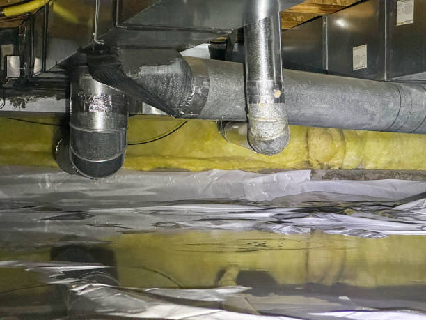 Best Carpet water damage restoration  in Dublin, PA