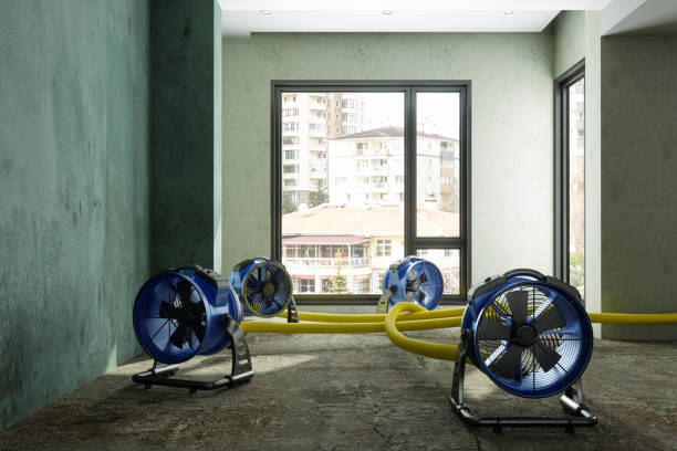 Best Water damage cleanup near me  in Dublin, PA