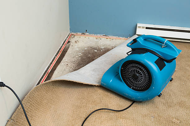 Best Water damage restoration near me  in Dublin, PA